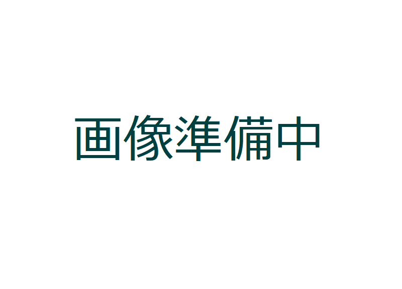 丸のこ(準備中)